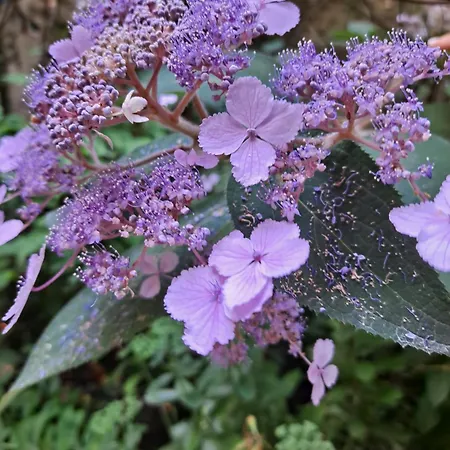 Frühstückspension La Gentilhommiere De 3*