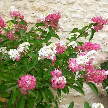 La Gentilhommiere De