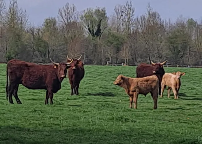 Oda ve Kahvaltı La Gentilhommiere De