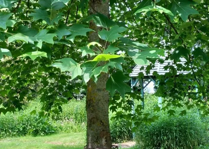 Oda ve Kahvaltı La Gentilhommiere De 3*