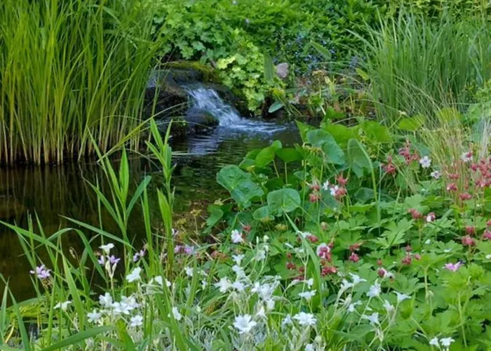 Oda ve Kahvaltı La Gentilhommiere De Moulins-sur-Orne