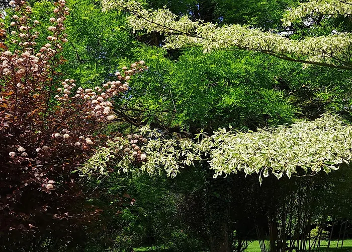 La Gentilhommiere De Oda ve Kahvaltı 3*