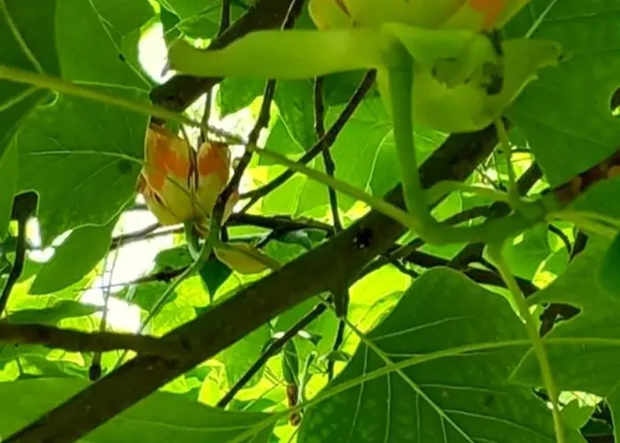 La Gentilhommiere De