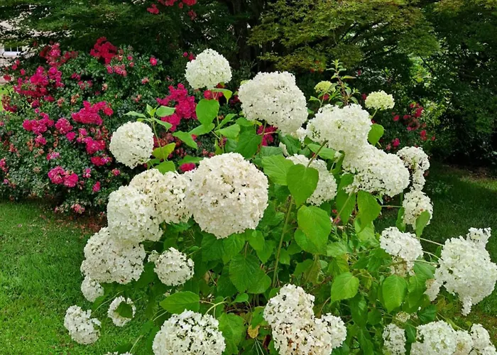 Oda ve Kahvaltı La Gentilhommiere De