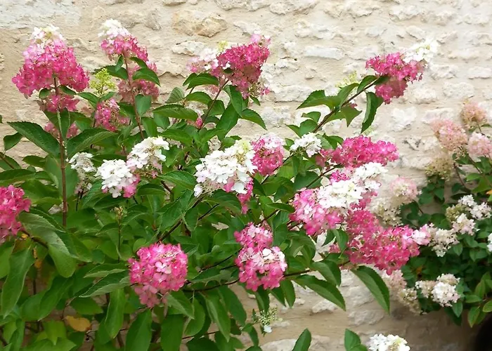 La Gentilhommiere De