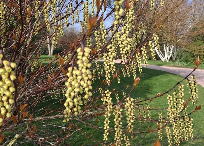 La Gentilhommiere De Oda ve Kahvaltı 3*