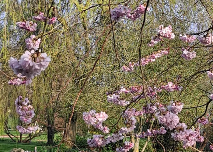 La Gentilhommiere De